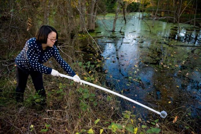 Environmental science student obtaining water sample